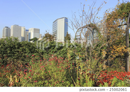 Rooftop garden Tokyo · Tennozu Rooftop garden Tokyo · Tennozu 25002061