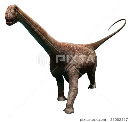 Malawisaurus 25002257
