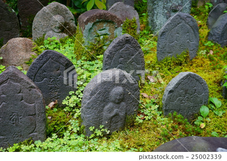 Nara · Nara Town · Gango temple · Floating rice 9 25002339