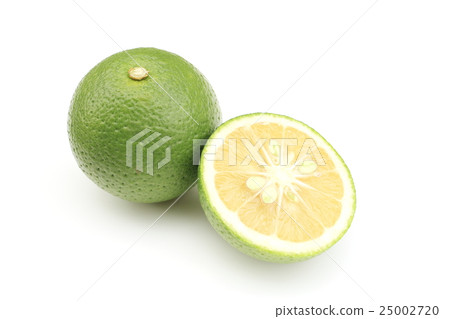 To dodge To dodge 25002720