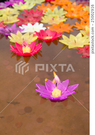 Colorful candle in lotus shape floating on water Colorful candle in lotus shape floating on water 25002916