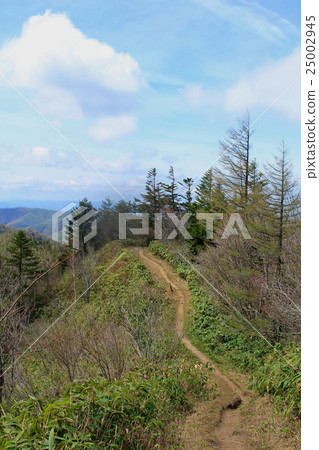 Nagano Prefecture Okawayama mountain trail road Nagano Prefecture Okawayama mountain trail road 25002945