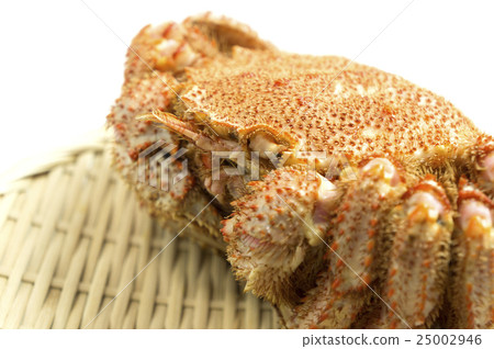 Foods Fish and shellfish Foods Fish and shellfish 25002946