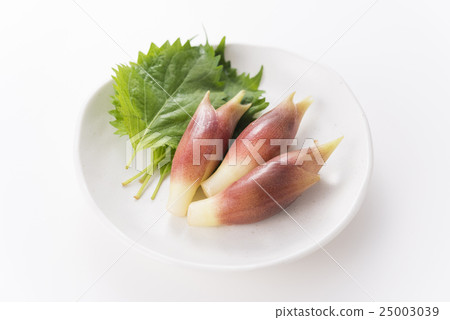 大葉子和姜 25003039