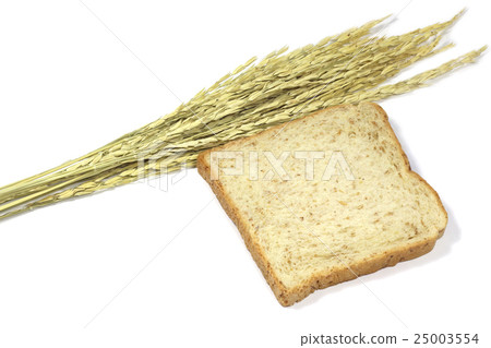 Square slice of fresh whole grain meal bread 25003554