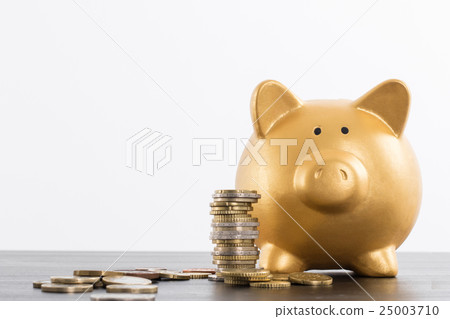 Piggy bank saving 25003710