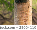 Symbol of love engraved on a tree 25004110