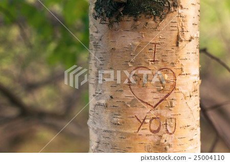 Symbol of love engraved on a tree Symbol of love engraved on a tree 25004110