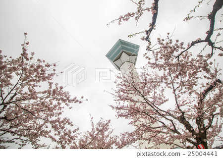 Goryokaku Park view Goryokaku Park view 25004441
