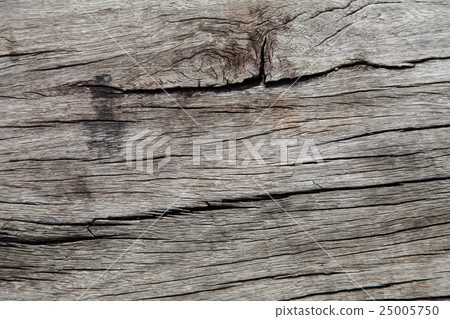 Old wood surface weathering 25005750