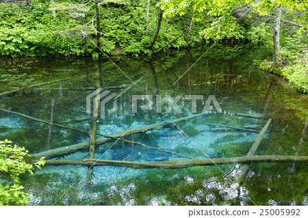 上帝的池塘北海道網走 上帝的池塘北海道網走 25005992
