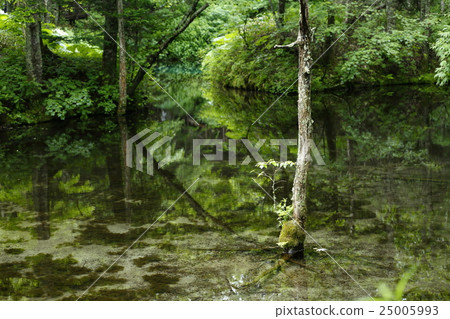 上帝的池塘北海道網走 上帝的池塘北海道網走 25005993