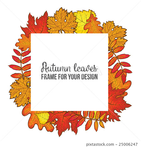 Round frame with fall leaves - maple, oak, rowan - Stock Illustration ...