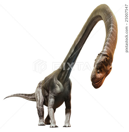 Omeisaurus 25007547