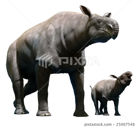 Paraceratherium with calf 25007548