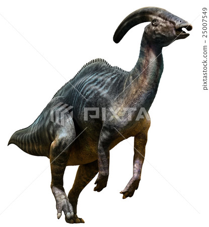 Parasaurolophus Parasaurolophus 25007549