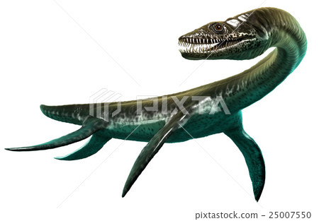 Plesiosaurus Plesiosaurus 25007550