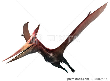 Pteranodon Pteranodon 25007584