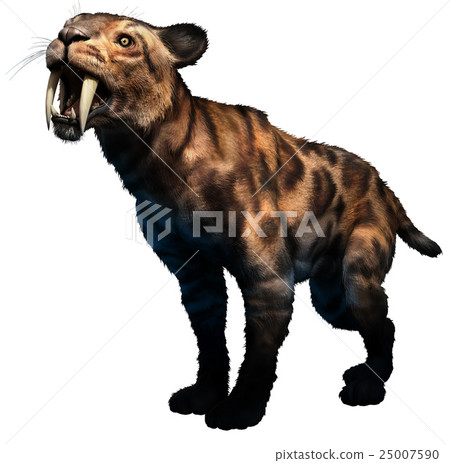 Smilodon Smilodon 25007590