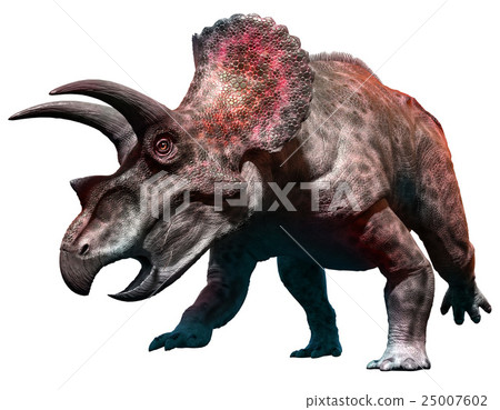 Triceratops 25007602