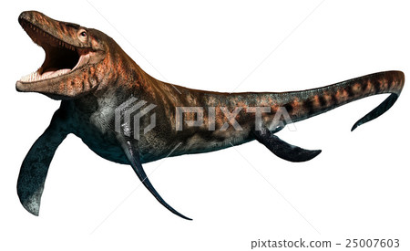 Tylosaurus Tylosaurus 25007603