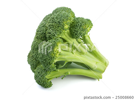 Fresh broccoli isolated on white background Fresh broccoli isolated on white background 25008660