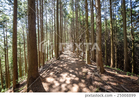 Mountain climbing course to Mt. Jinba mountain from Mei-ose Pass 25008899