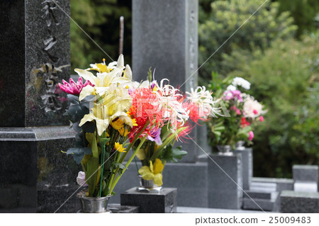 花風景Omakori墳墓Okishiba秋天花 25009483