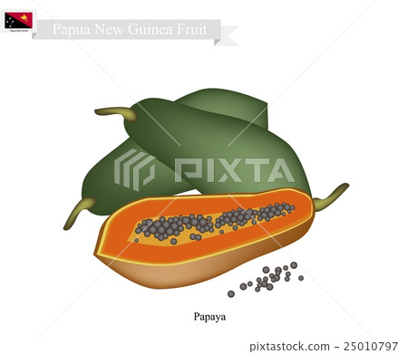 Ripe Papaya, A Famous Fruit in Papua New Guinea Ripe Papaya, A Famous Fruit in Papua New Guinea 25010797