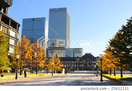 東京站 東京站 25012131