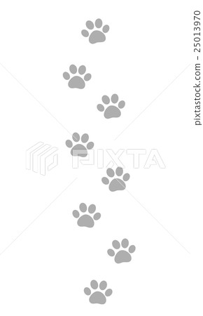 貓的腳印 25013970