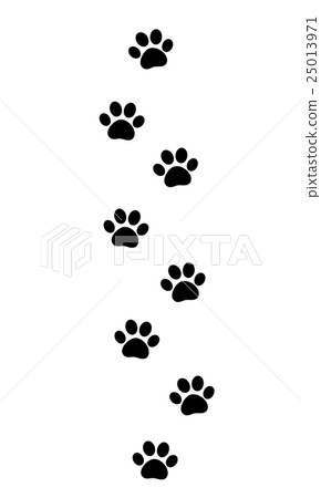 Footprints of cats 25013971