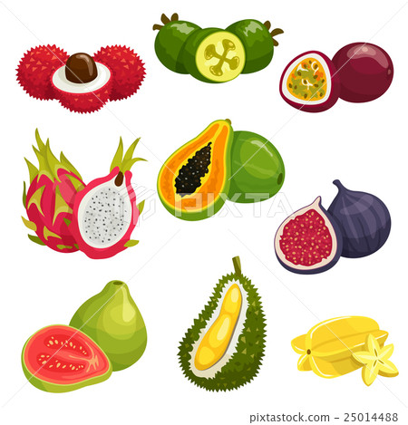 Tropical and exotic fruits isolated icons 25014488