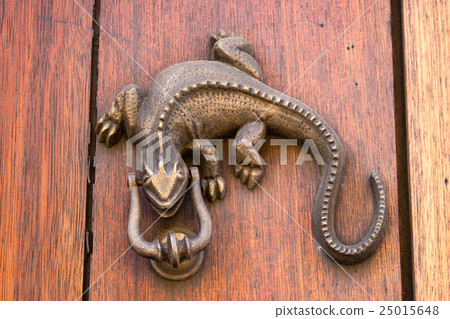 Door knocker Iguana shaped 25015648