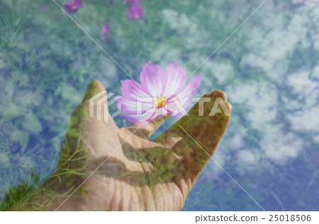 Tiger sitting, dreaming, flower, hope, futuristic 25018506