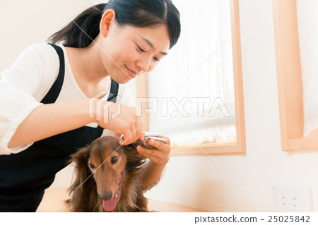 trimmer, female, lady 25025842