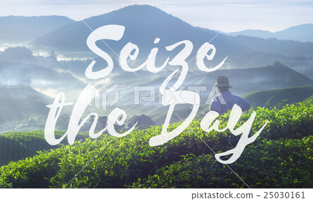Seize the Day Collect Moment Enjoyment Positive Concept 25030161