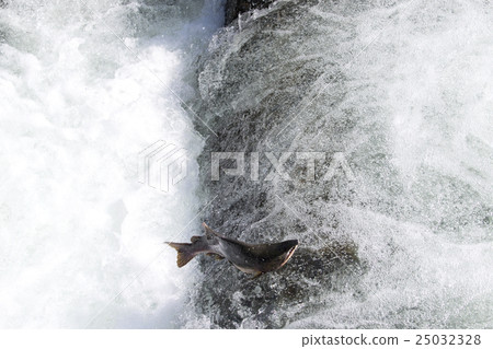 新貴的豐富多彩 新貴的豐富多彩 25032328