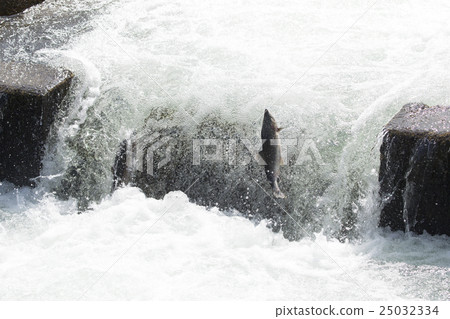 新貴的豐富多彩 25032334