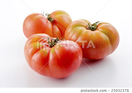 有機農藥種植的有機農業番茄 25032378