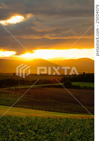 舒璧(394) 舒璧(394) 25034078