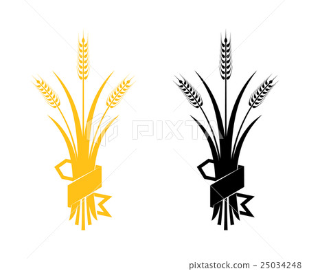 Ears of Wheat, Barley or Rye Ears of Wheat, Barley or Rye 25034248