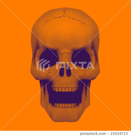 Skull in vintage duotone and halftone style. 25034723