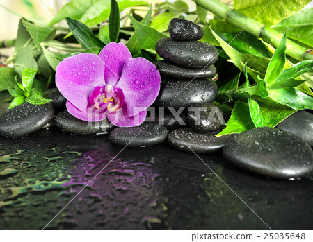 Spa concept: zen stones, orchid flower and bamboo 25035648