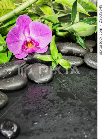Spa concept: zen stones, orchid flower and bamboo 25035649