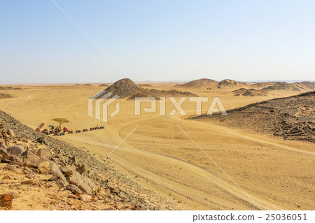 Landscape in the mountains 25036051