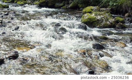 A River Flows Over Rocks A River Flows Over Rocks 25036236
