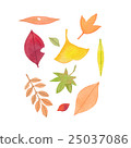落葉 25037086