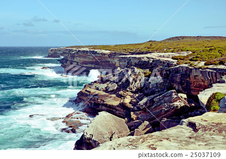 Rugged sandstone New South Wales coastline Rugged sandstone New South Wales coastline 25037109