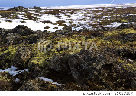 Wide panorama shot of winter mountain landscape Wide panorama shot of winter mountain landscape 25037197